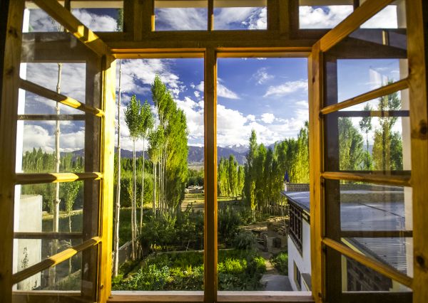 Cost of Wood Window Replacement in Los Angeles
