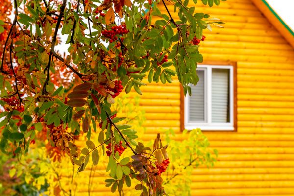 Cost of Garden Window Replacement in Los Angeles